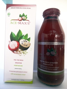 ace maxs (pembuluh darah)